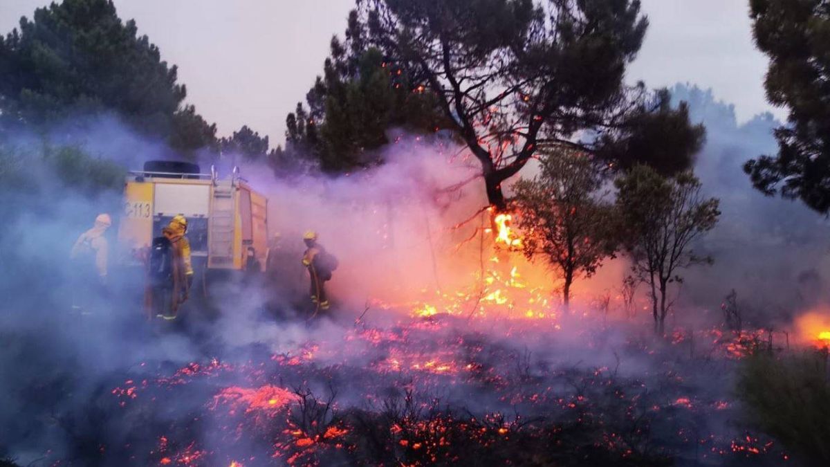 Sevilla, Huelva, León, Asturias... noche de incendios forestales en toda España