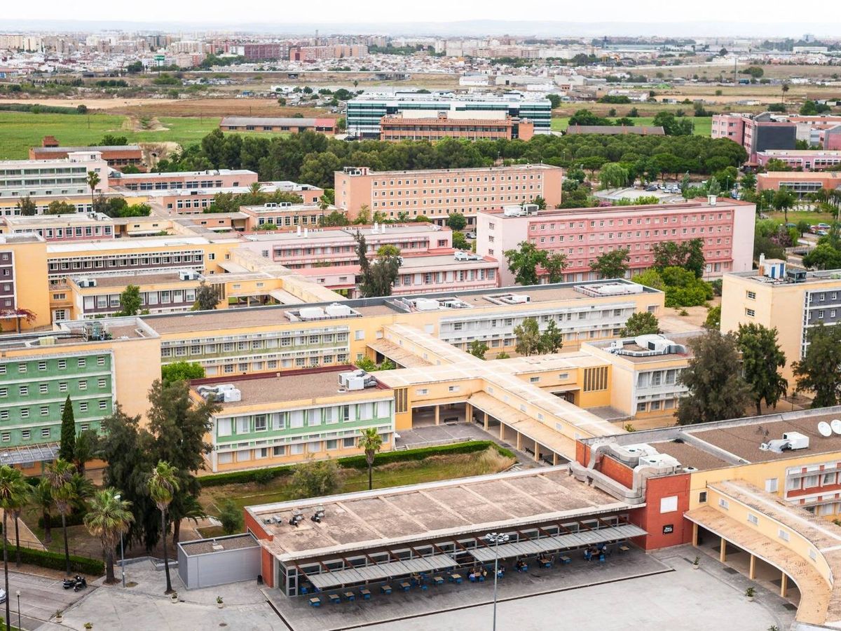 Foto: Vista de la Universidad Pablo Olavide de Sevilla. (U. Pablo Olavide)