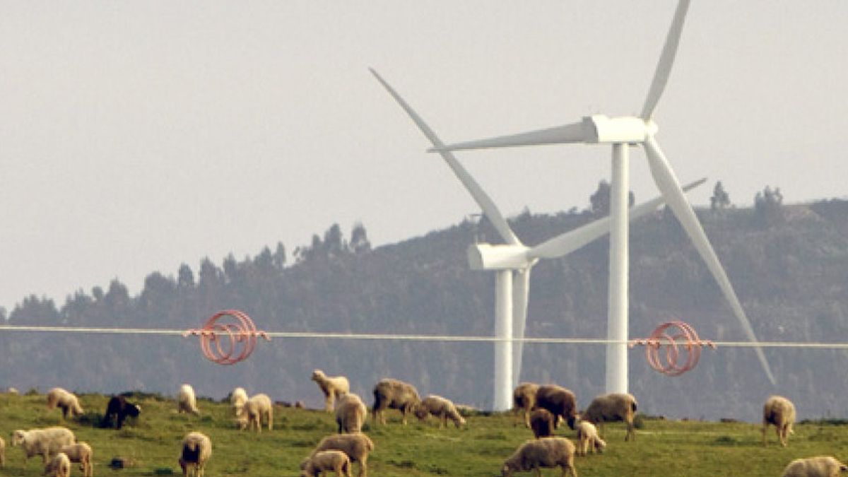 Las renovables arrasan en 2010 y lideran la producción de electricidad en España