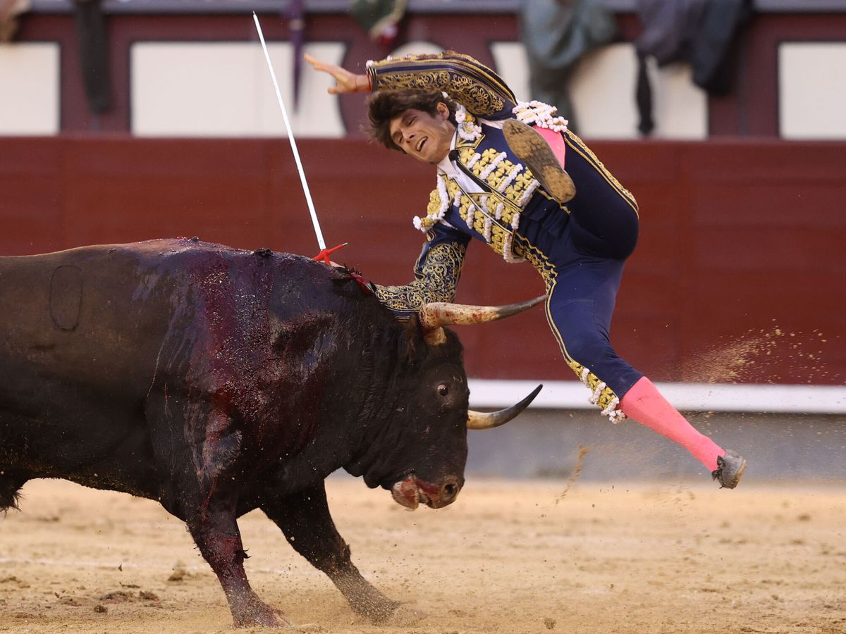Foto: Sebastián Castella sufre una cogida en Las Ventas. (EFE/Kiko Huesca)