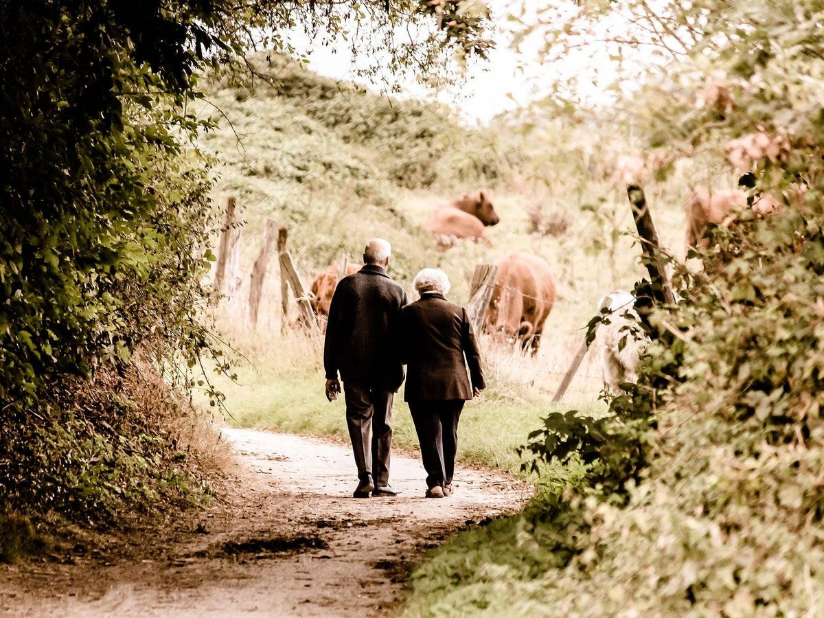 Foto: Los ancianos que dieron paseos y se asombraron, reportaron mejores emociones. Foto: Pixabay