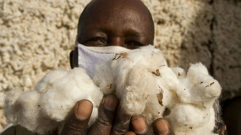 Titanes de algodón: el peligroso trabajo de transportar el 'oro blanco' de Benín