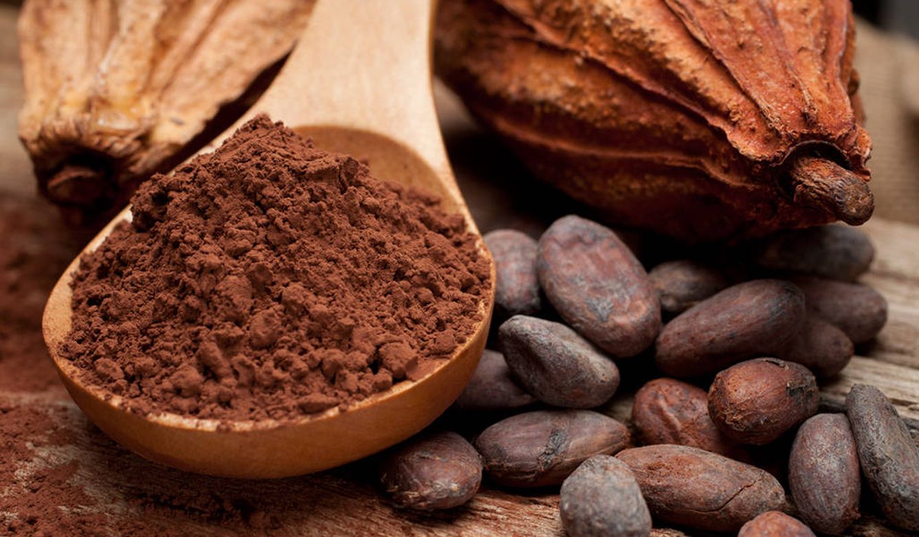 Cacao de Origen