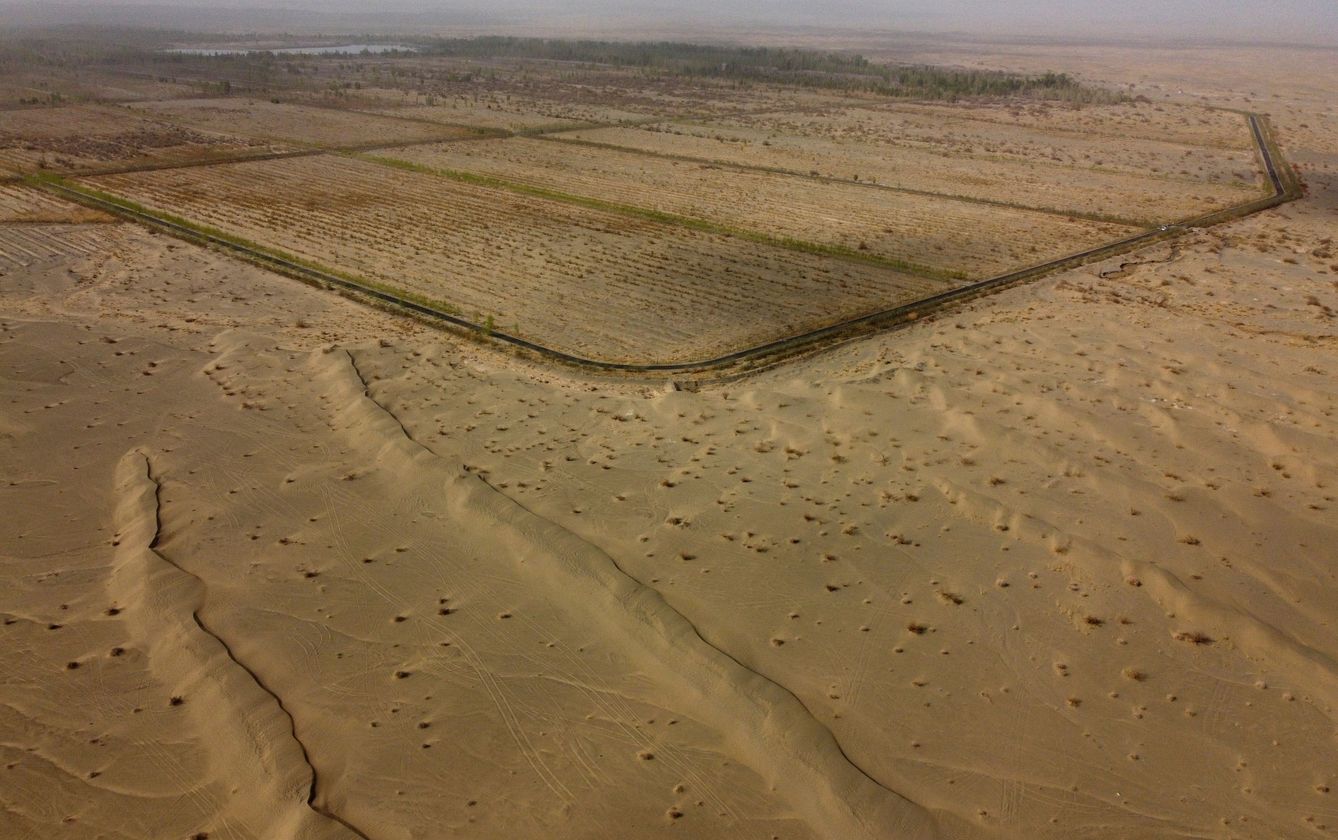 La agricultura le gana terreno al desierto. (Reuters)