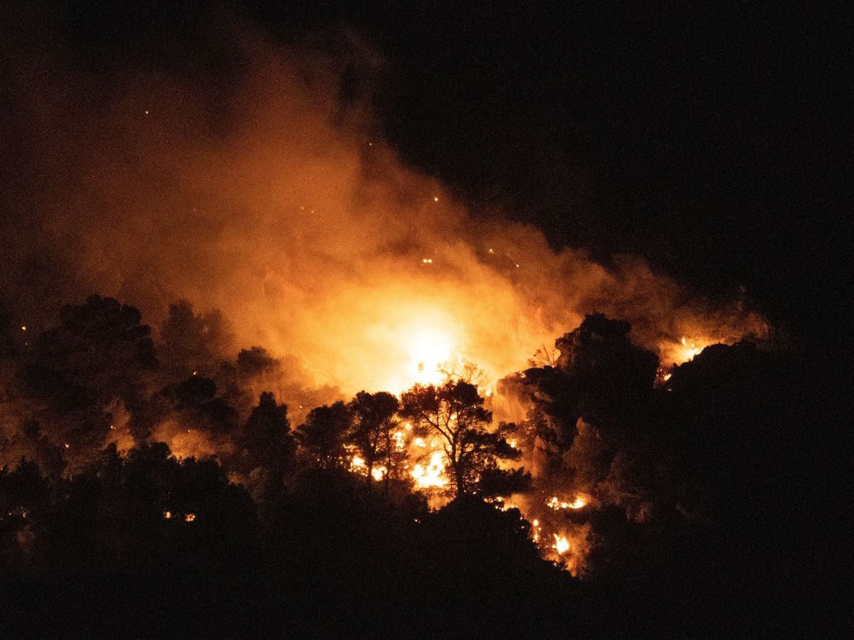 Foto: Declarado un incendio forestal en Quesada (EFE)