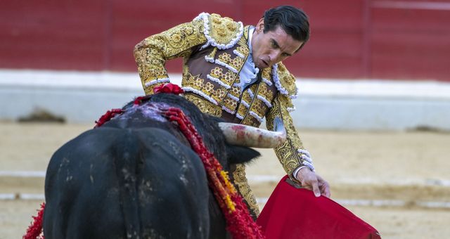 El torero Juan Ortega durante la faena a uno de sus toros en la plaza de toros de Jaén. (EFE/José Manuel Pedrosa)