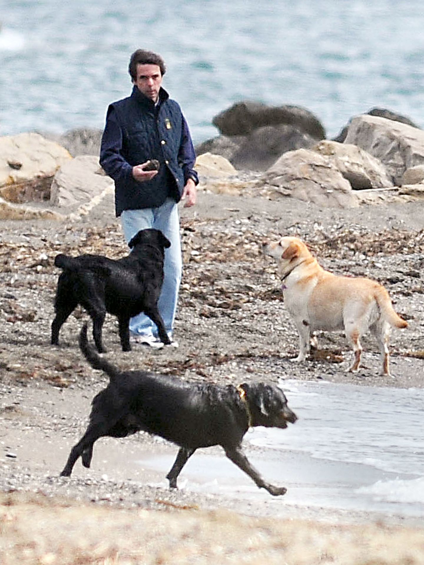 José María Aznar, jugando con sus perros por las playas de Guadalmina. (I.C.)