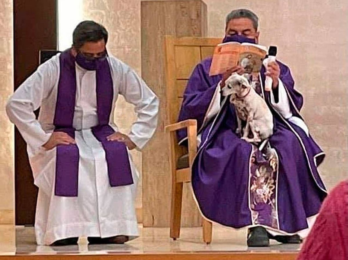 Foto: El padre Gerardo Zatarain, con su perra en el regazo (Facebook)