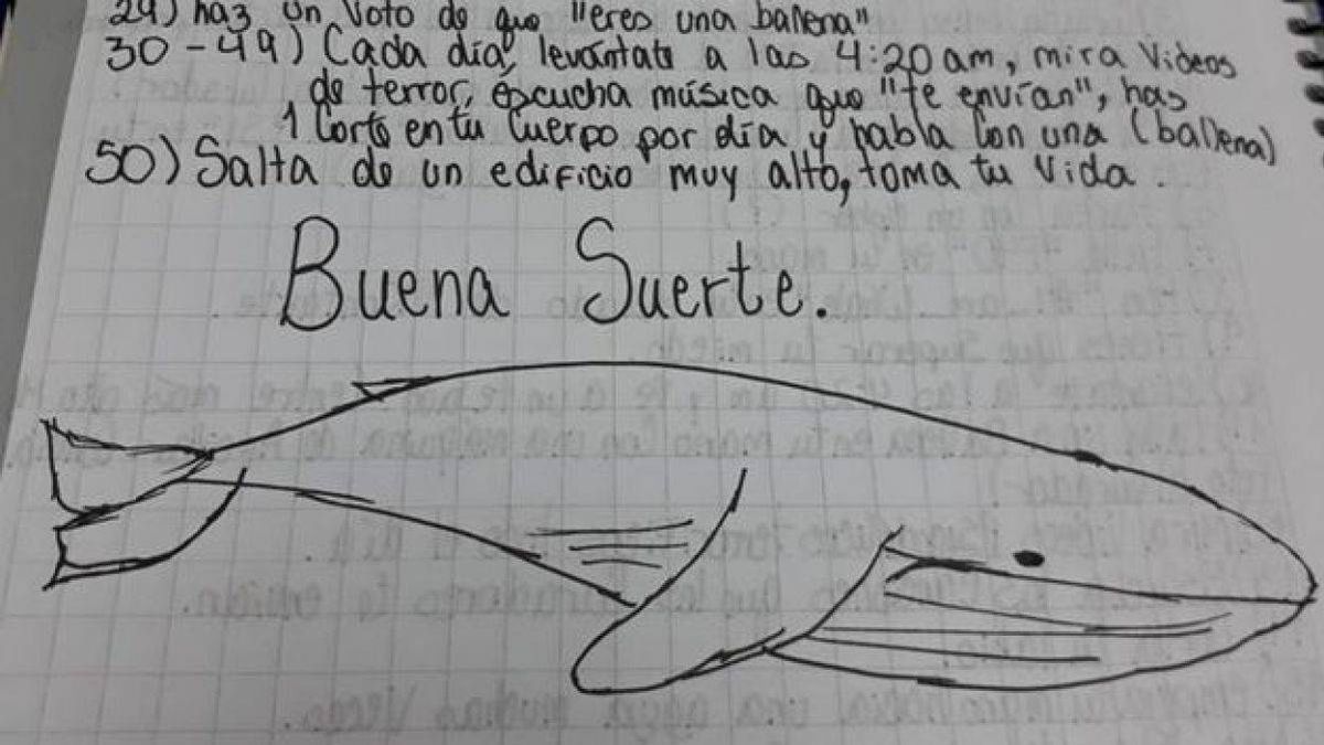 La ballena azul', ¿responsable de la ola de suicidios adolescentes en  Latinoamérica?