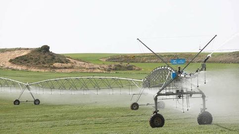 La crisis del campo se agudiza en la cuenca del Ebro: sin obras ni regadío contra la sequía