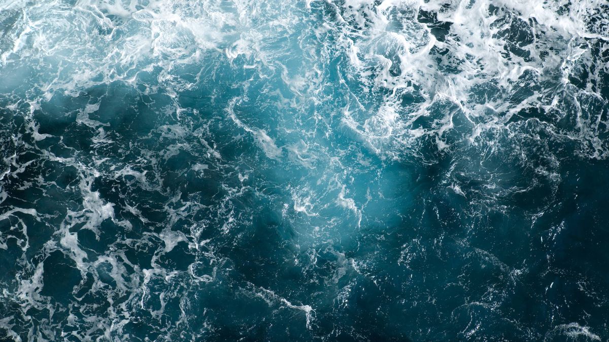 "Sin azul, no hay verde", el océano clama por su conservación