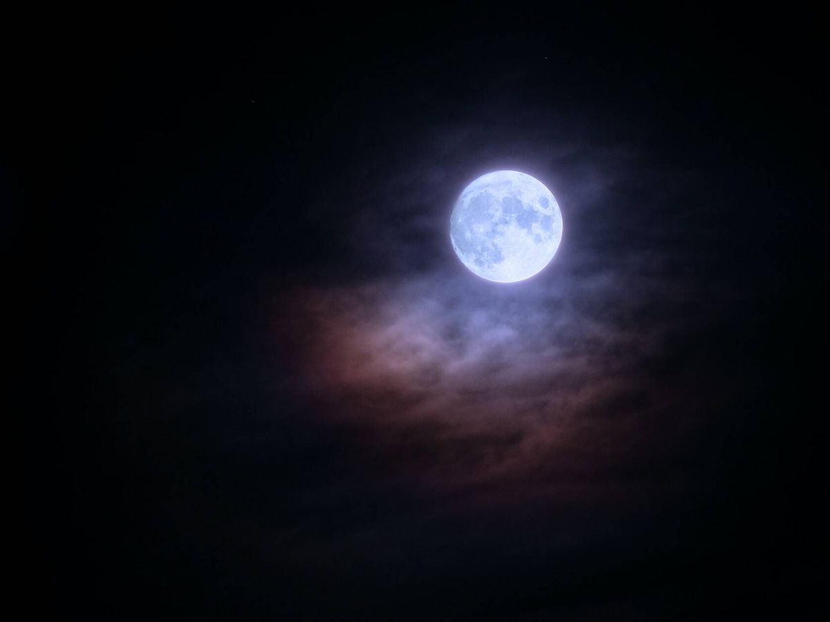 Foto: Superluna azul de agosto 2023: a qué hora saldrá la luna llena hoy. (Daniele Levis Pelusi para Unsplash)