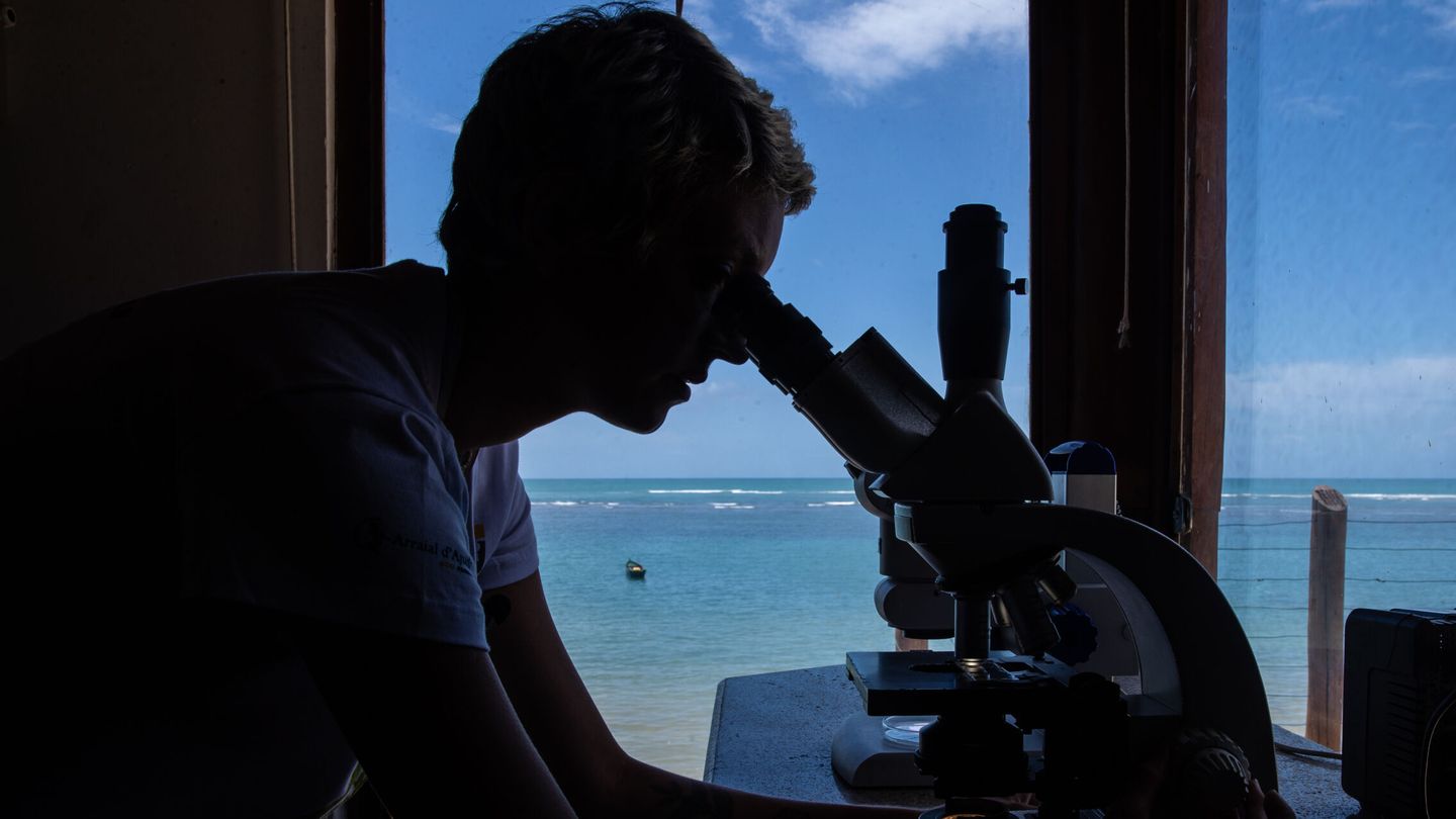 Un investigador frente al microscopio. (EFE)