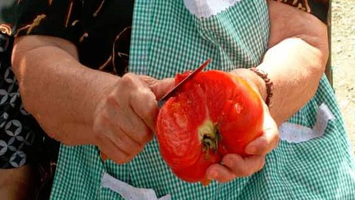 El tomate, protagonista de una matanza sin dolor en una pequeña aldea de Huelva