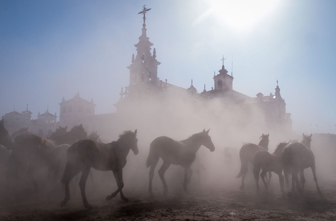 Alrededor de 1.500 cabezas de equinos en estado semisalvaje pasan delante de la ermita de El Rocío (Huelva) en la 'Saca de las Yeguas'. (EFE/Julián Pérez)