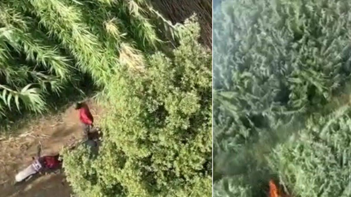 Un dron graba 'in fraganti' a un pirómano mientras provocaba un incendio en Calabria