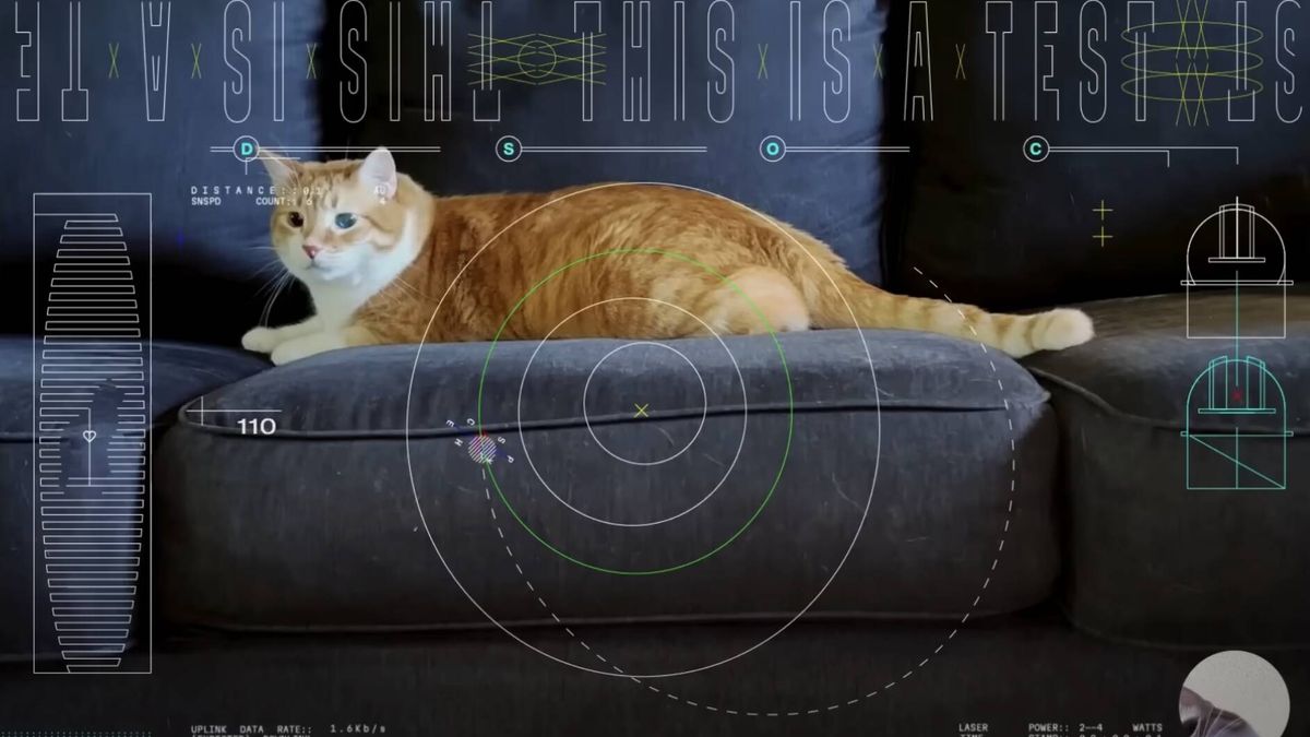 La NASA prueba su tecnología espacial de comunicación láser con vídeos de gatitos (real)