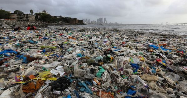 Foto: Ver playas llenas de plástico es algo habitual en India (EFE/Divyakant Solanki)