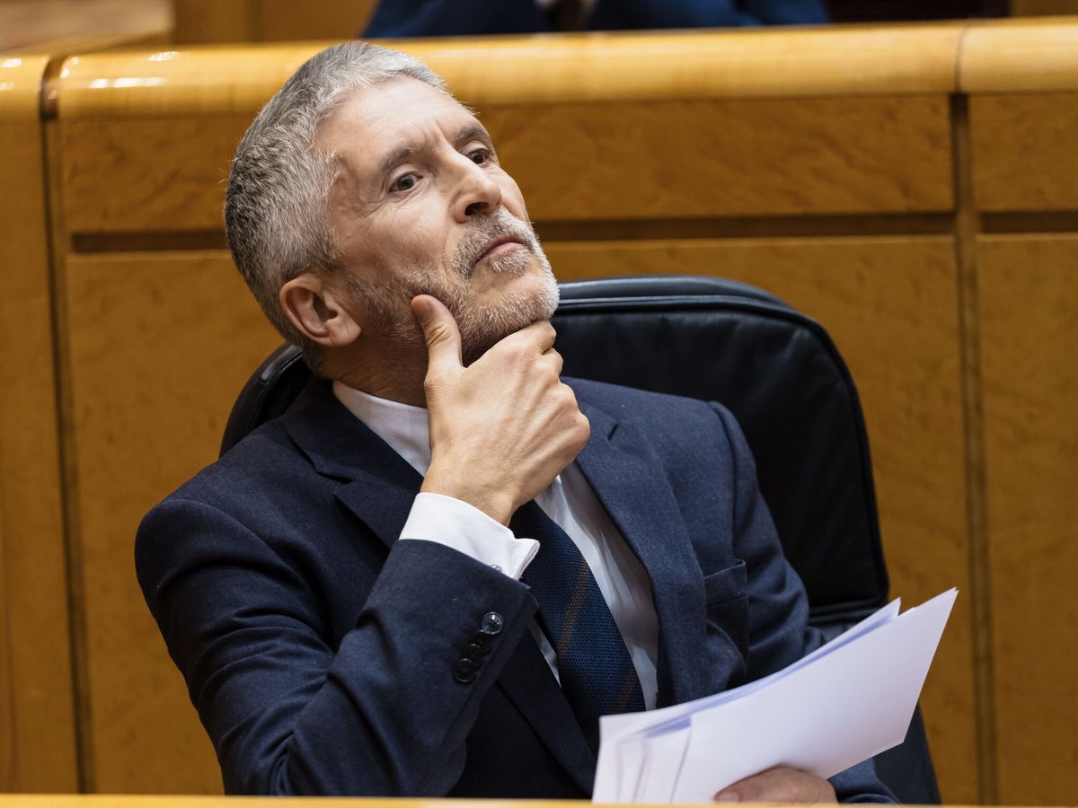 Foto: El ministro del Interior, Fernando Grande-Marlaska, durante una sesión plenaria en el Senado. (Europa Press/Carlos Luján)