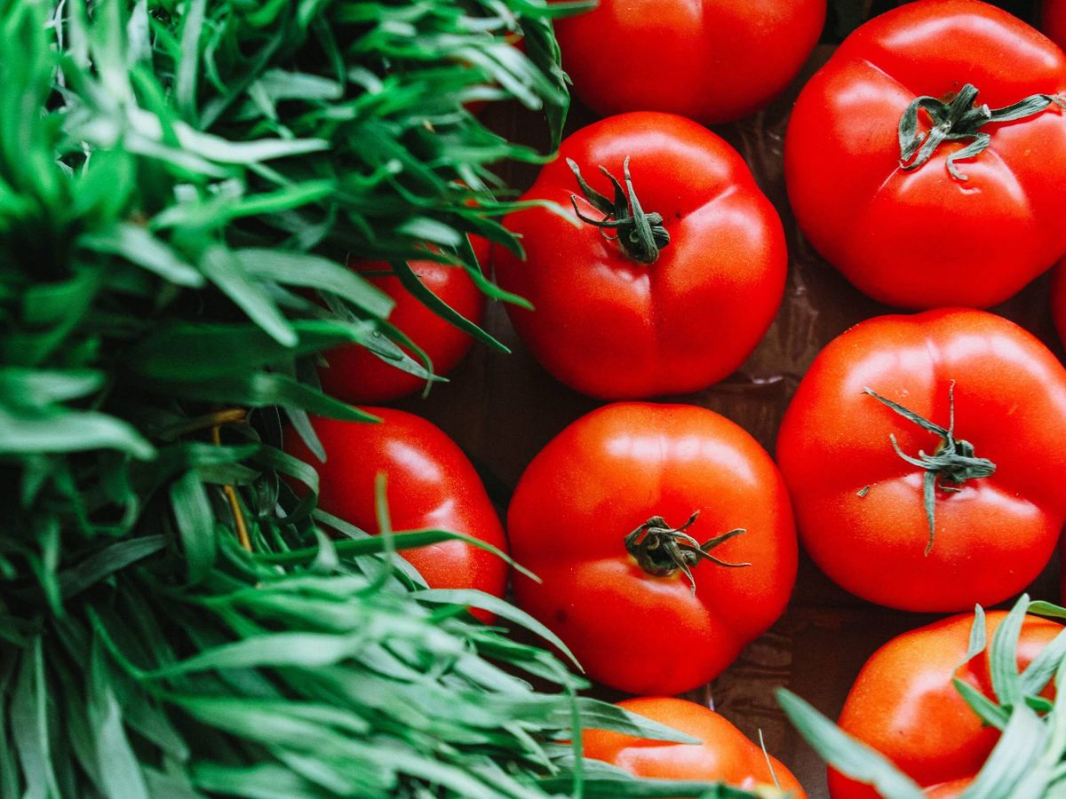 Foto: El licopeno es un potente antioxidante y el pigmento que da el característico color rojo a los tomates (Pexels)