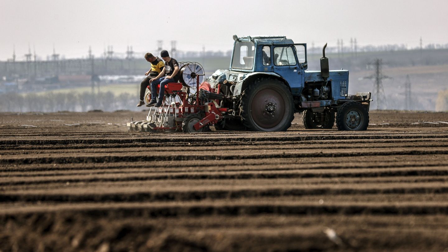 Campos de cultivo en Ucrania, muy cerca del frente. (Reuters)