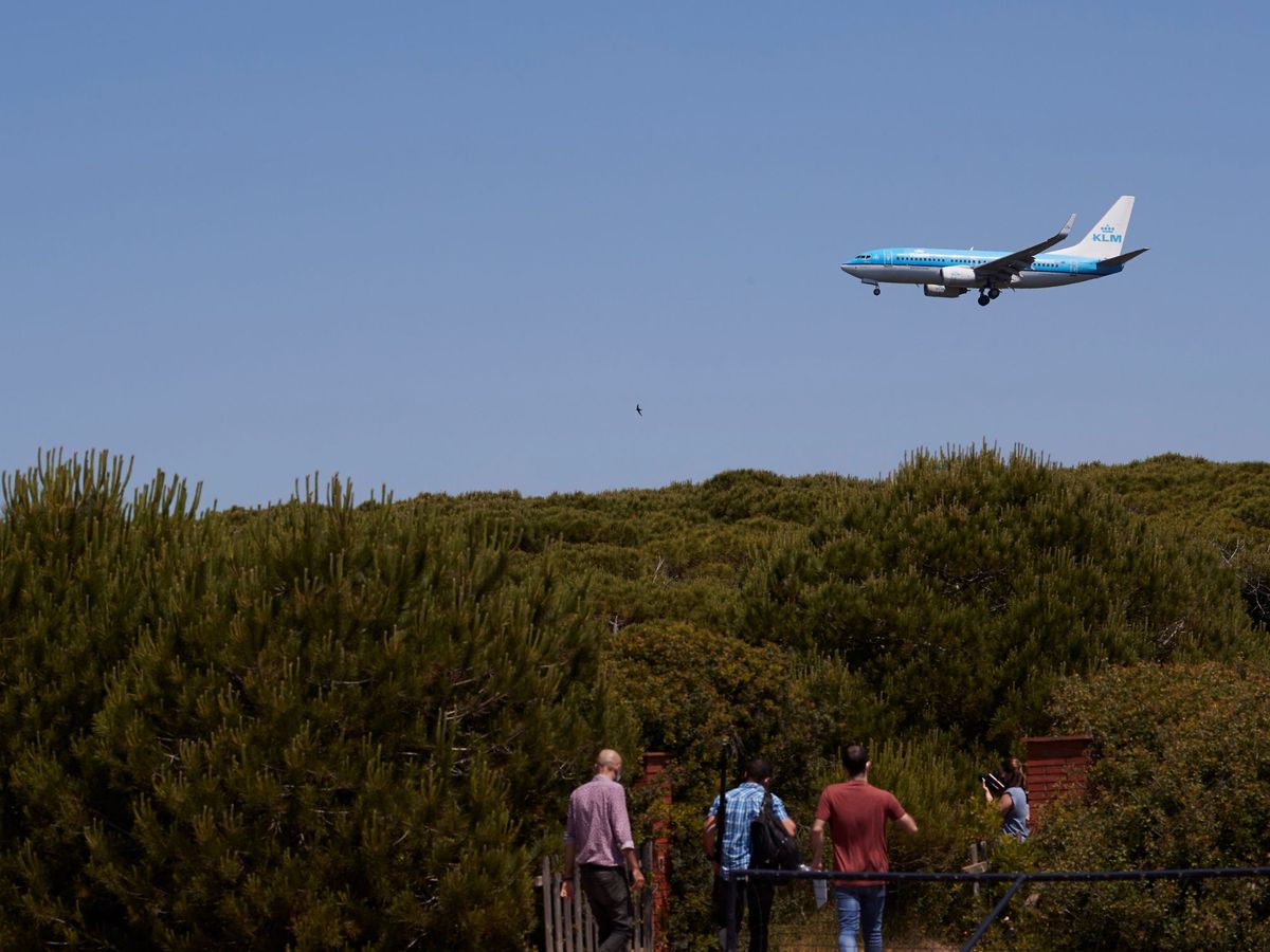 Foto: Un avión sobrevuela las inmediaciones del espacio natural protegido de la Ricarda. (EFE)