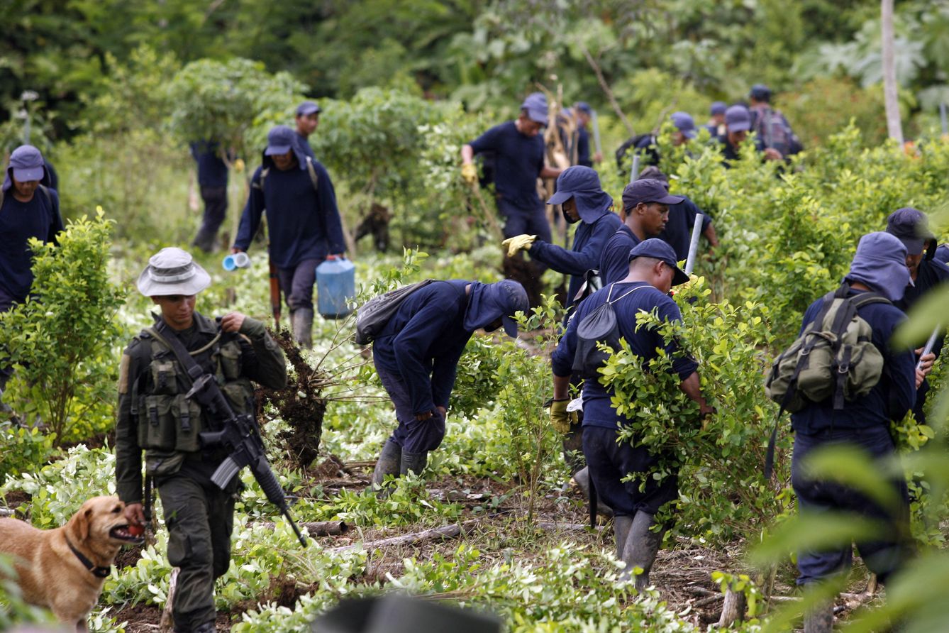 Un agente antidroga escolta a trabajadores durante una operación de erradicación de coca en San Miguel, Colombia. (Reuters)
