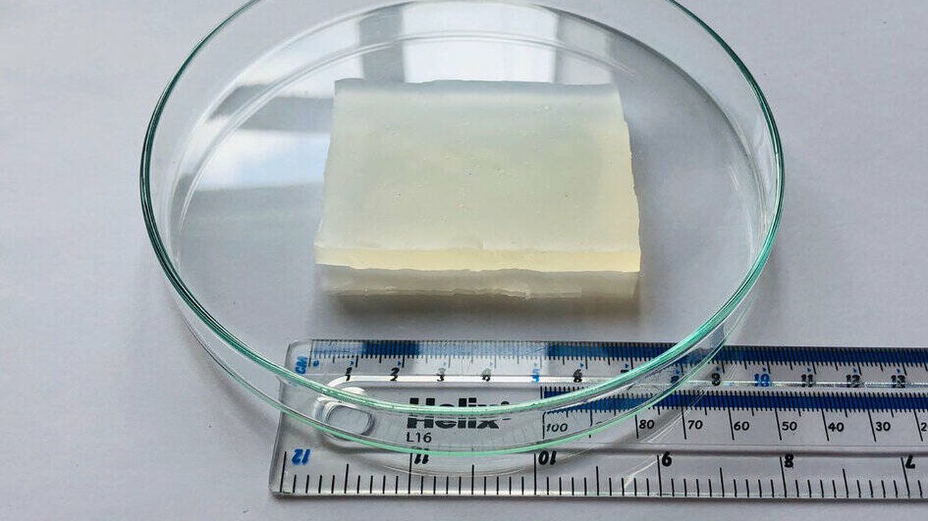 Foto: La super-gelatina que puede soportar el peso de varios coches