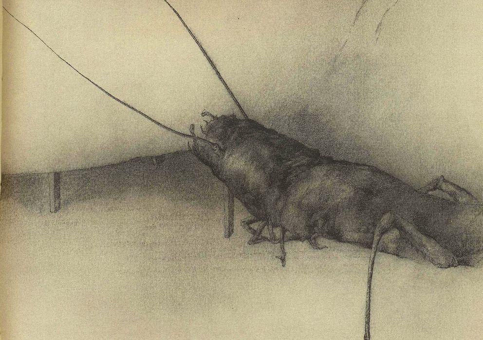 Foto: Fragmento de una de las imágenes de la ilustración para 'Metamorfosis', de Kafka.