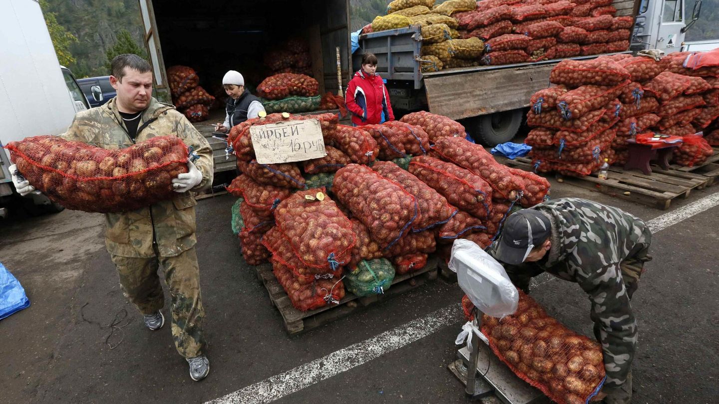 Empleados de una granja local descargan sacos de patatas en Divnogorsk, Siberia (Reuters).