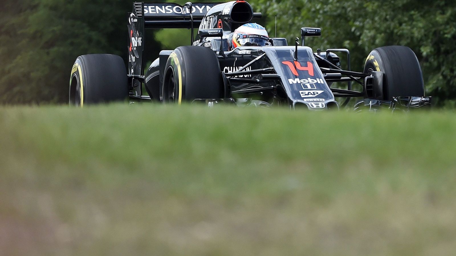 Foto: Fernando Alonso, este viernes, en los segundos libres del GP de Hungría.