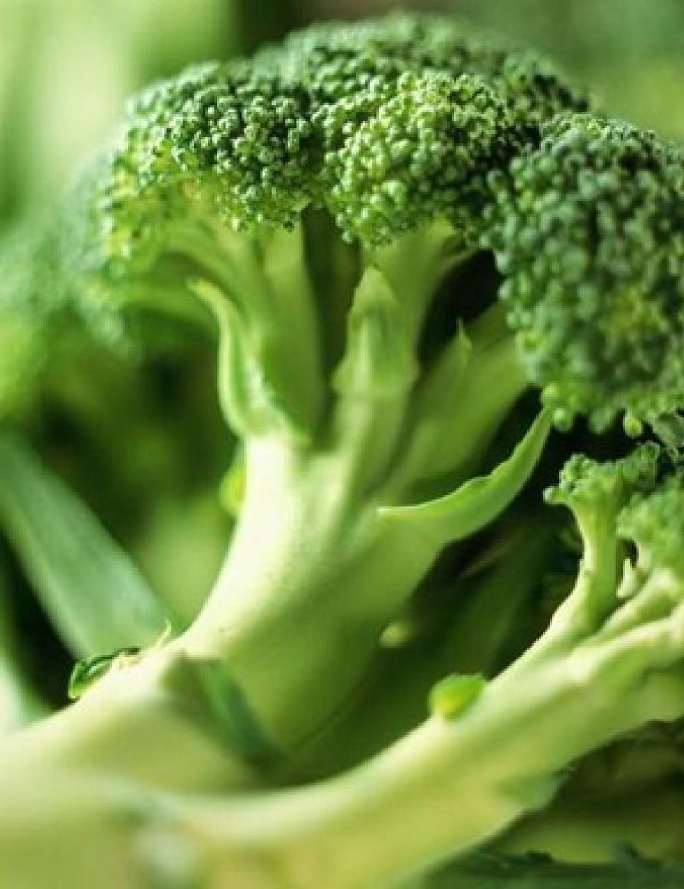 Foto: Un compuesto del brócoli alivia una enfermedad cutánea