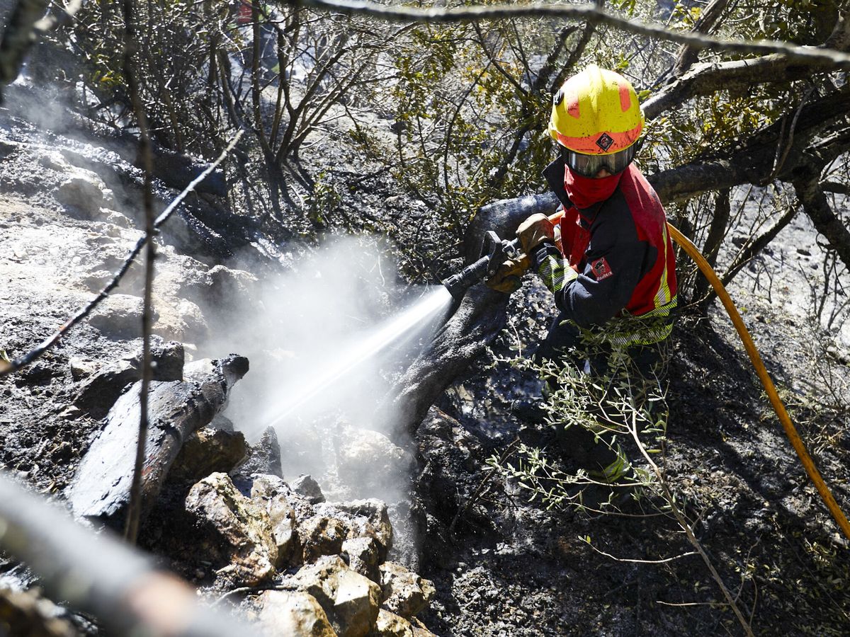 Foto: Foto de archivo de un bombero apagando un fuego en Segària de El Ràfol d'Almunia (Alicante). (EFE/Natxo Francés)