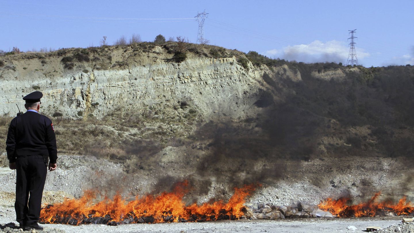 Un policía albanés observa la quema de 1,6 toneladas de Cannabis en un valle al sureste de Tirana, el 21 de marzo de 2014. (Reuters)
