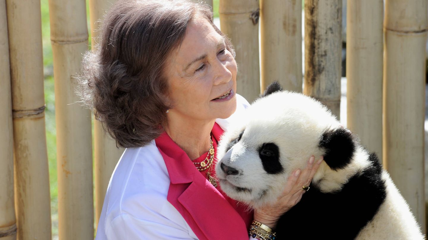 La reina Sofía con uno de los osos panda del Zoo de Madrid. (Getty)