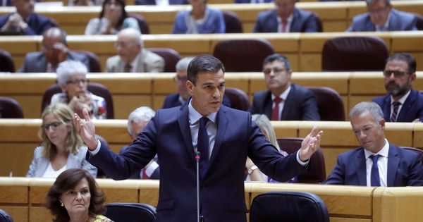 Foto: Pedro Sánchez, durante la sesión de control en el Senado, este 11 de septiembre. (EFE)