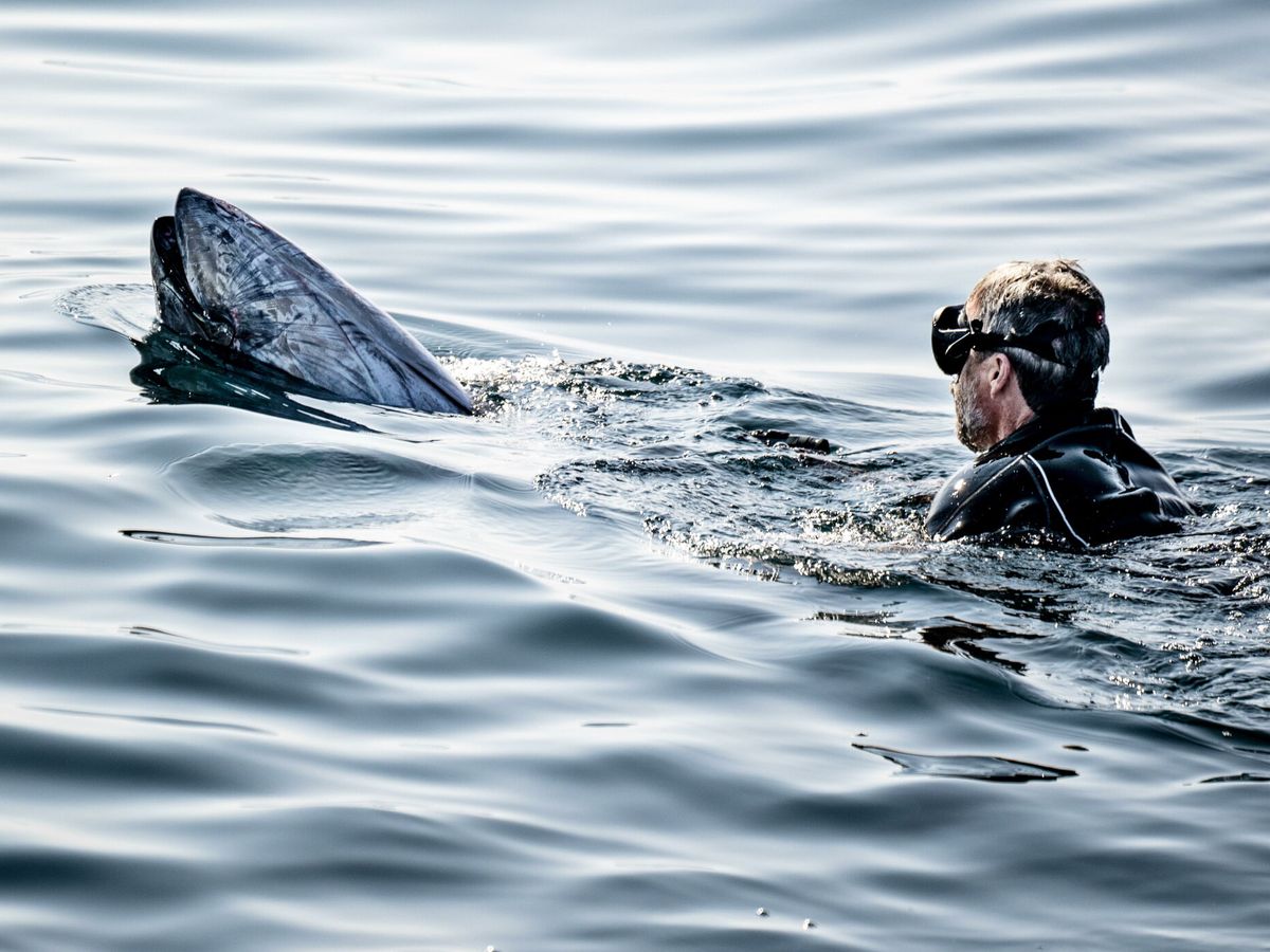 Foto: Federico de Dinamarca, con un atún en Skagen. (EFE)