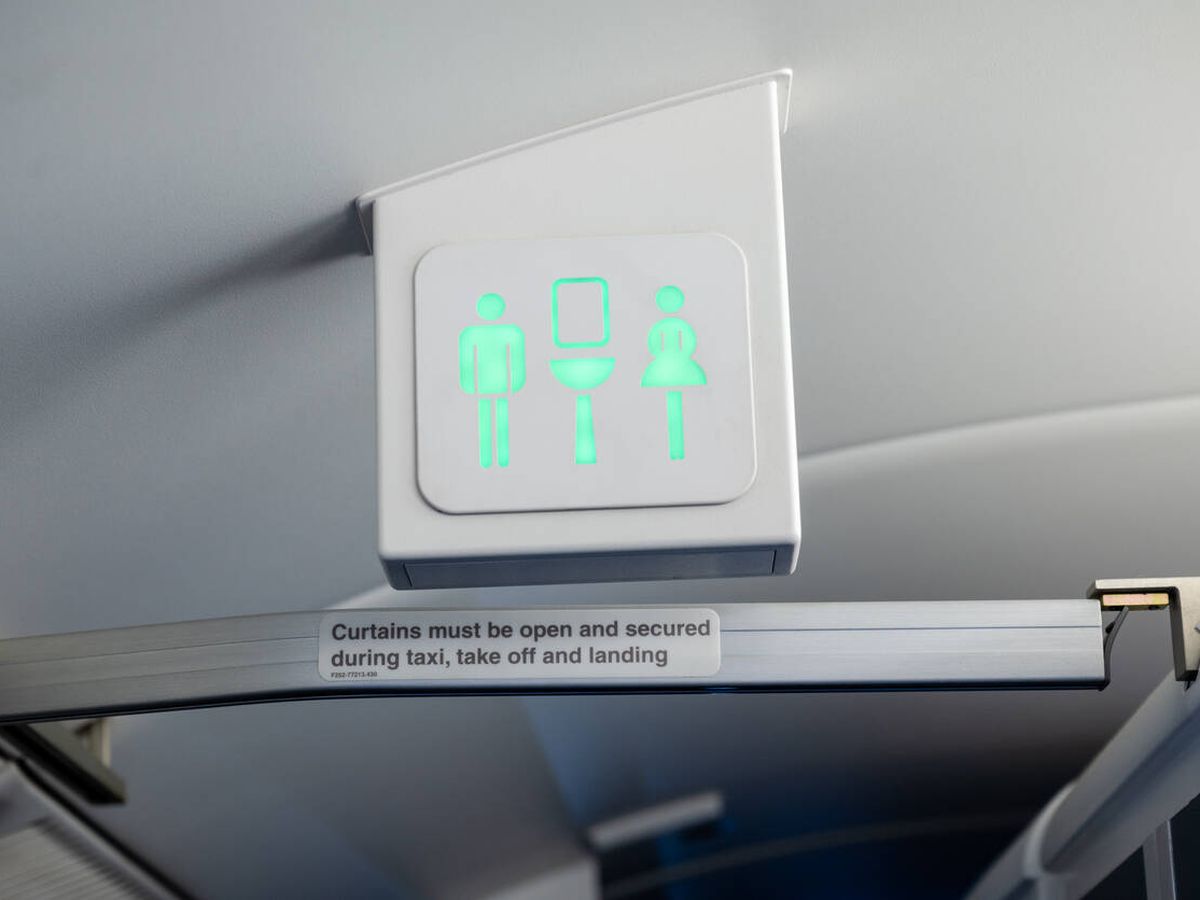 Foto: Señal de cuarto de baño en un avión (iStock)