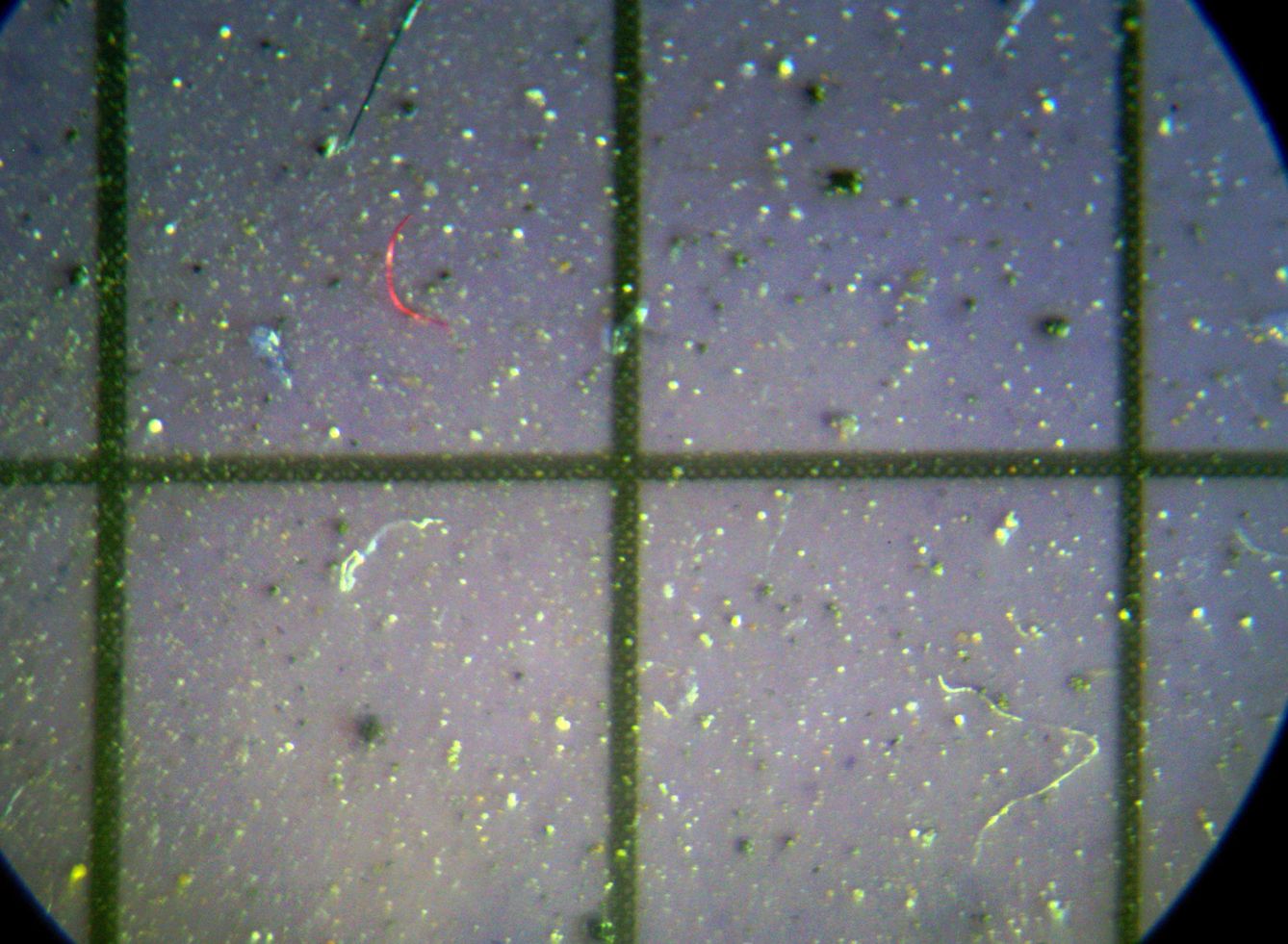 Microplásticos en un copo de nieve observado a través del microscopio (REUTERS) 