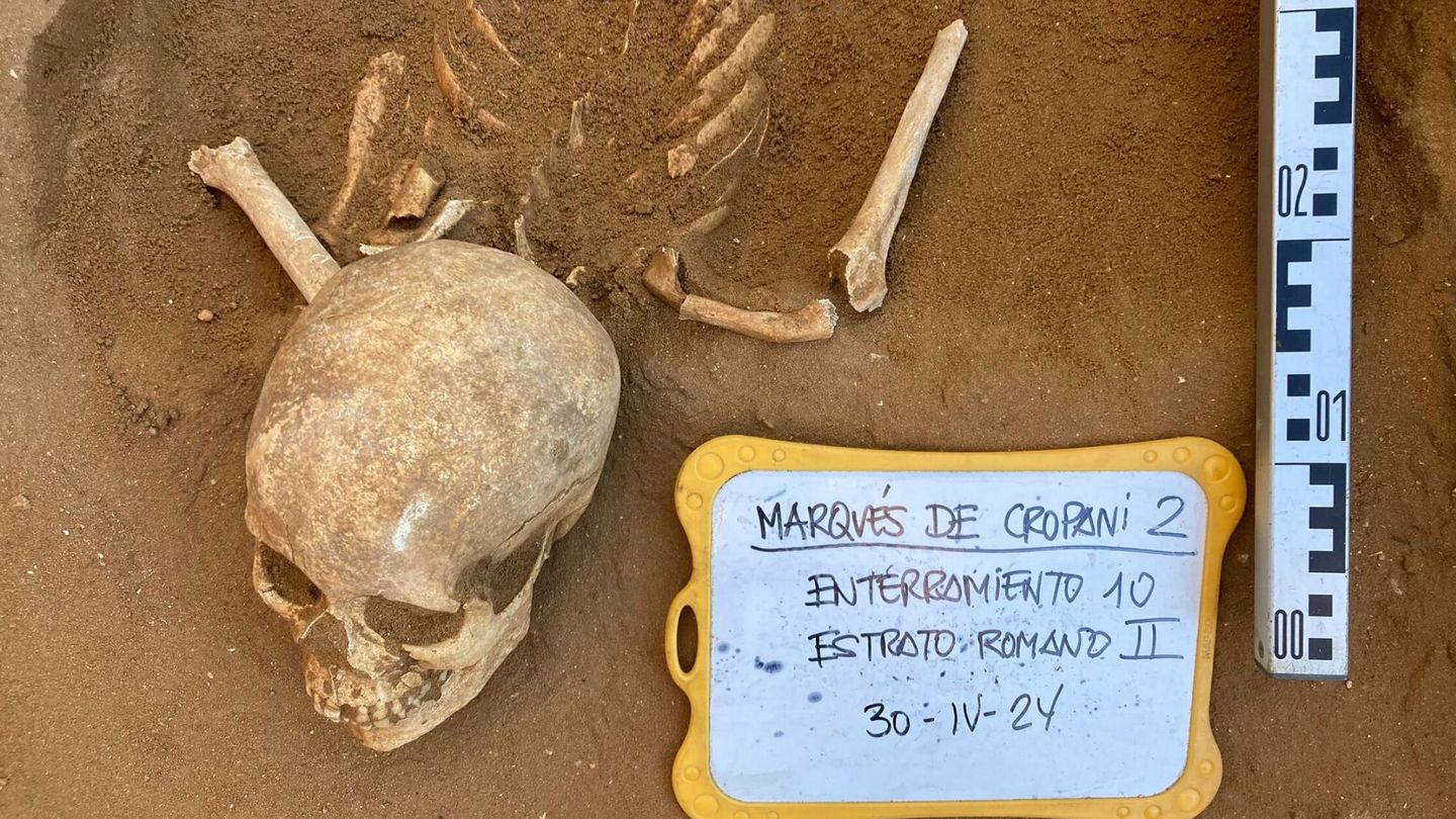 Parte de los restos encontrados en la excavación arqueológica. (EFE/Ayuntamiento de Cádiz)