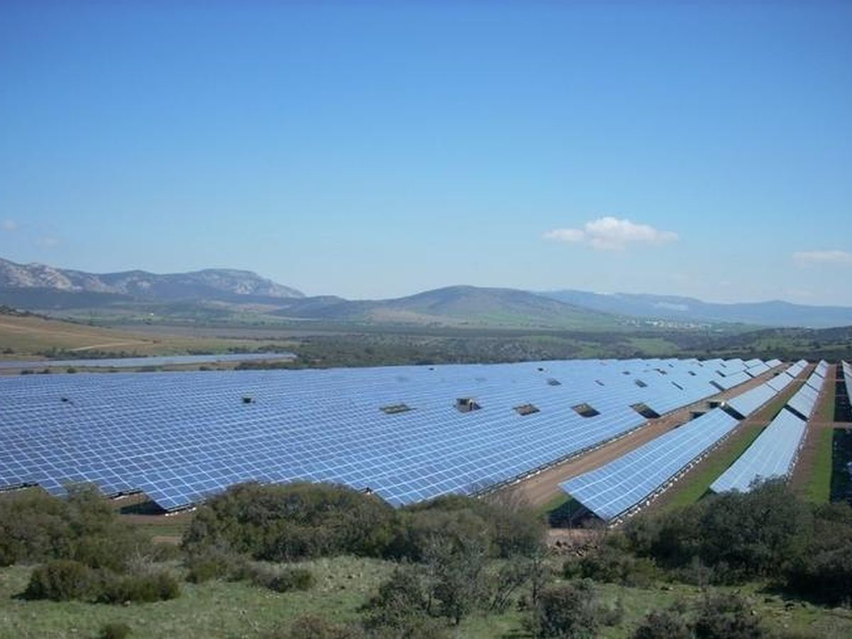 Foto: Paneles solares de Renovalia en Puertollano. (Renovalia)