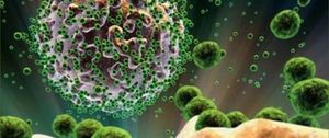 Los recortes en investigación paralizan la vacuna española contra el sida