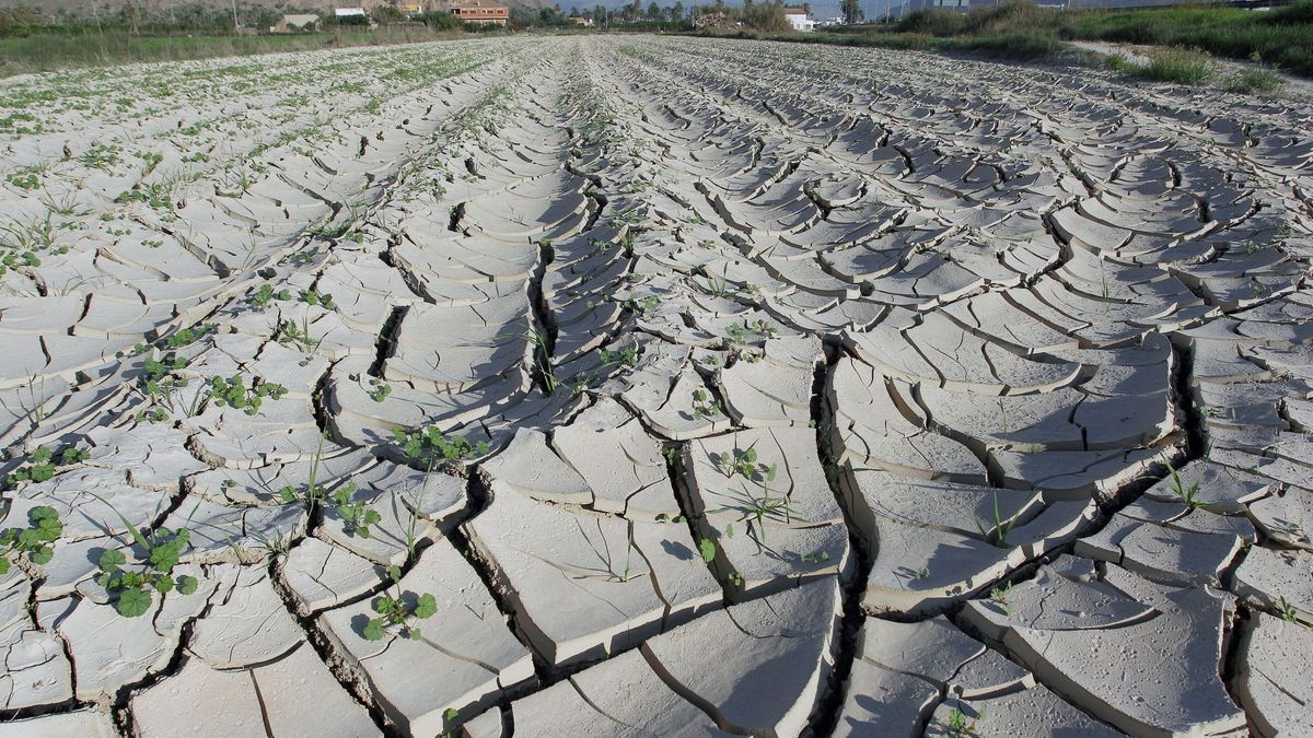 La necesidad de actuar frente a la sequía, más allá de las lluvias