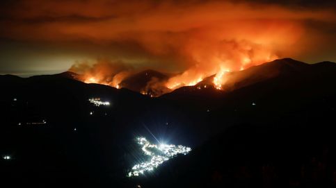 Vivimos un aumento de la masa forestal y eso acentúa el problema de los incendios