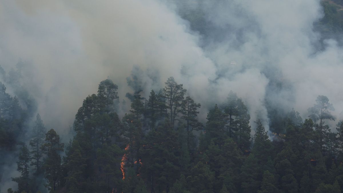 Más vecinos de La Palma vuelven a casa, pero el fuego sigue avanzado en el parque nacional