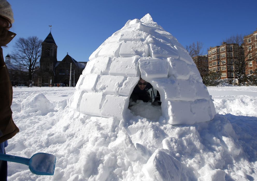 Foto: Un iglú de Eli Schleifer en un parque de Cambridge, Massachusetts. (Reuters)