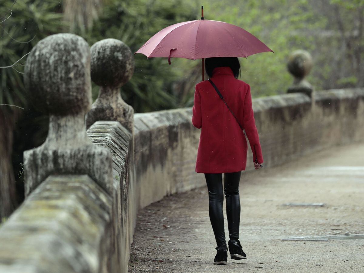 Foto: Una persona pasea bajo la lluvia en Valencia. (EFE/Ana Escobar) 