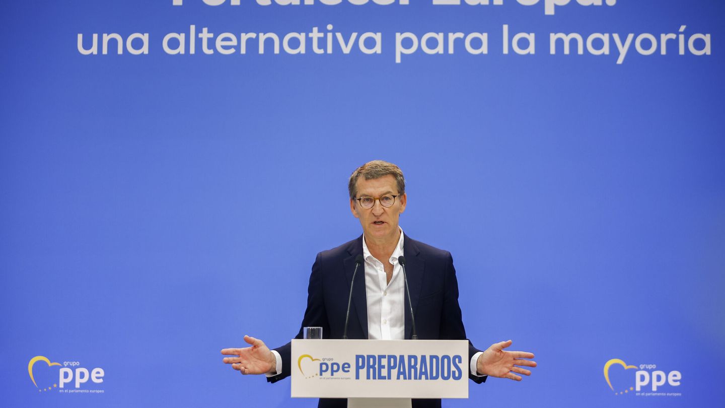 El presidente del Partido Popular, Alberto Núñez Feijóo. (EFE/Sergio Pérez) 