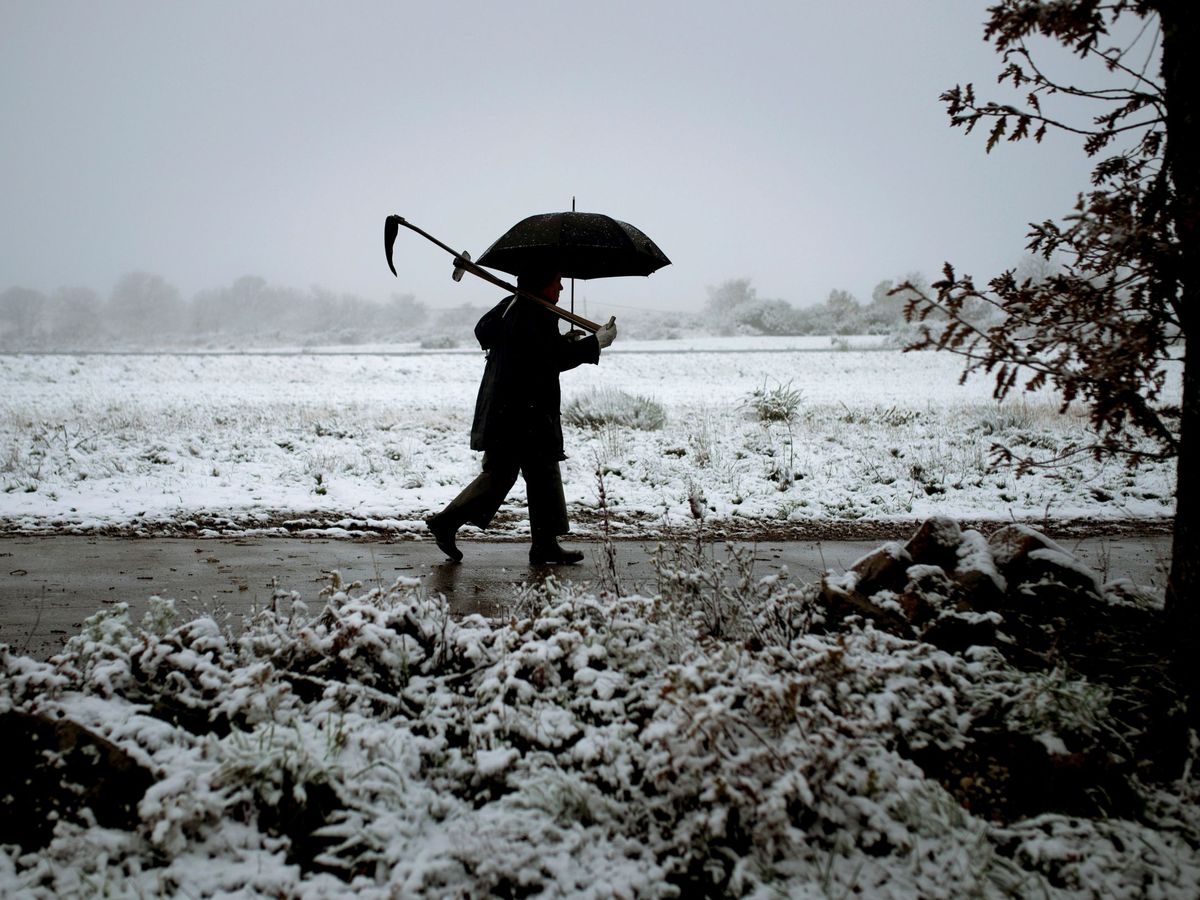 Foto: Un hombre camina por un camino nevado en el pueblo de O Canizo (Ourense). (EFE)