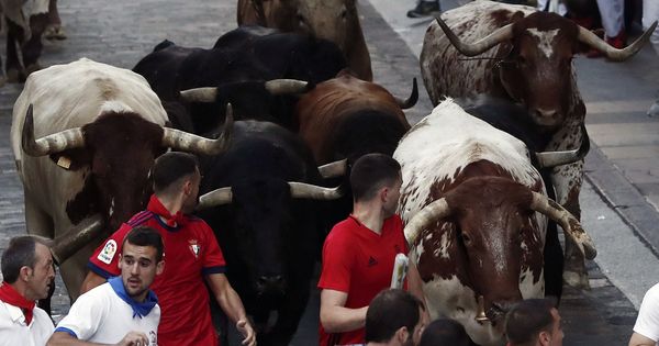 Foto: Los toros de la ganadería gaditana de Fuente Ymbro suben la cuesta de Santo Domingo hacia el Ayuntamiento. (EFE)